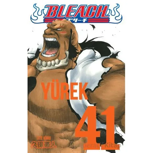 Bleach 41. Cilt - Tite Kubo - Gerekli Şeyler Yayıncılık