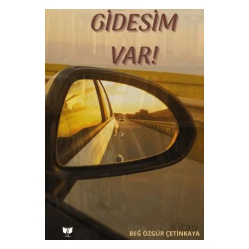 Gidesim Var - Beğ Özgür Çetinkaya - Ateş Yayınları
