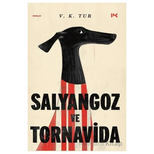 Salyangoz ve Tornavida - Veysel Karani Tur - Profil Kitap