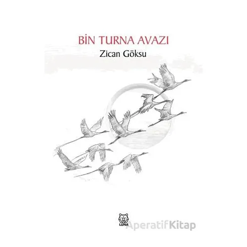 Bin Turna Avazı - Zican Göksu - Luna Yayınları