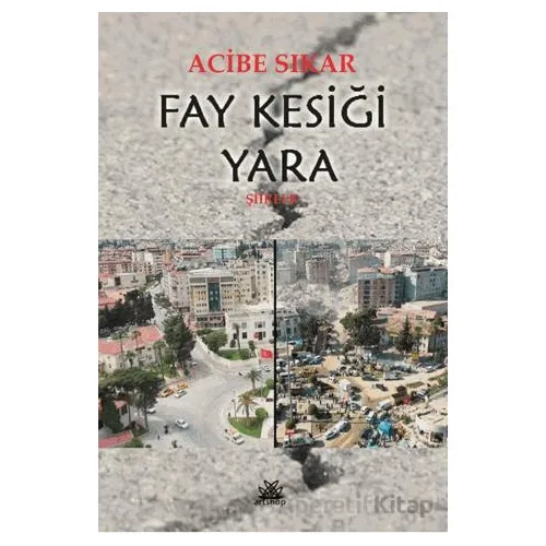 Fay Kesiği Yara - Acibe Sıkar - Artshop Yayıncılık