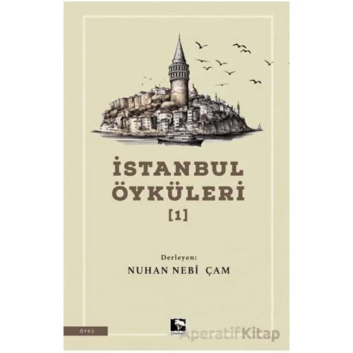 İstanbul Öyküleri 1 - Kolektif - Çınaraltı Yayınları