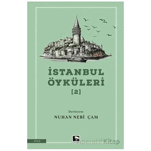 İstanbul Öyküleri 2 - Kolektif - Çınaraltı Yayınları