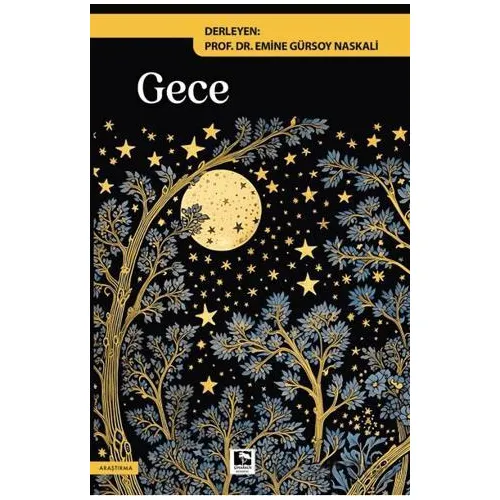 Gece - Kolektif - Çınaraltı Yayınları