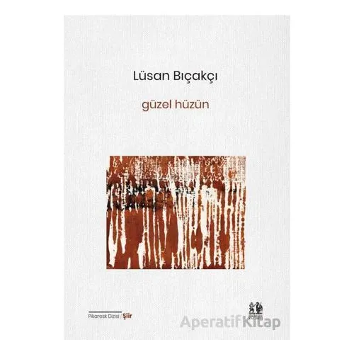 Güzel Hüzün - Lüsan Bıçakçı - Pikaresk Yayınevi