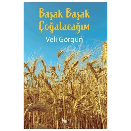 Başak Başak Çoğalacağım - Veli Görgün - Ceylan Yayınları