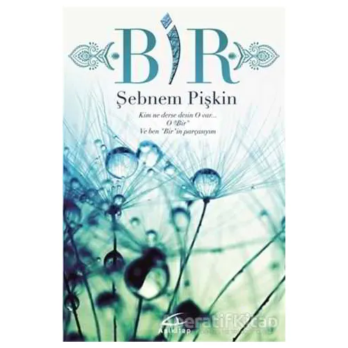 Bir - Şebnem Pişkin - Asi Kitap