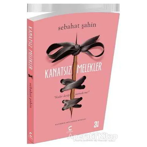 Kanatsız Melekler - Sebahat Şahin - C Planı Yayınları