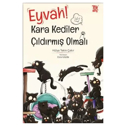 Eyvah Kara Kediler Çıldırmış Olmalı - Hülya Tekin Çakır - Türkiye Diyanet Vakfı Yayınları