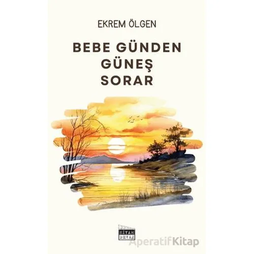 Bebe Günden Güneş Sorar - Ekrem Ölgen - Siyah Beyaz Yayınları