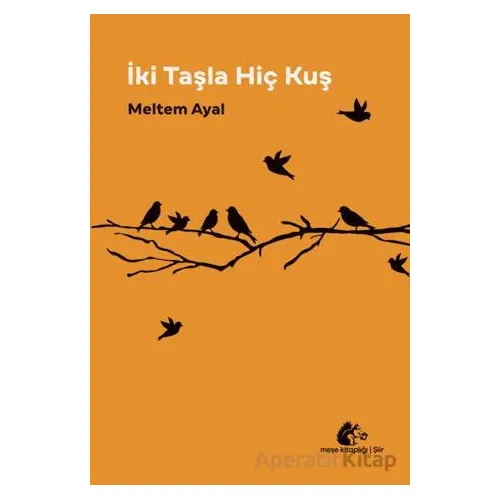 İki Taşla Hiç Kuş - Meltem Ayal - Meşe Kitaplığı