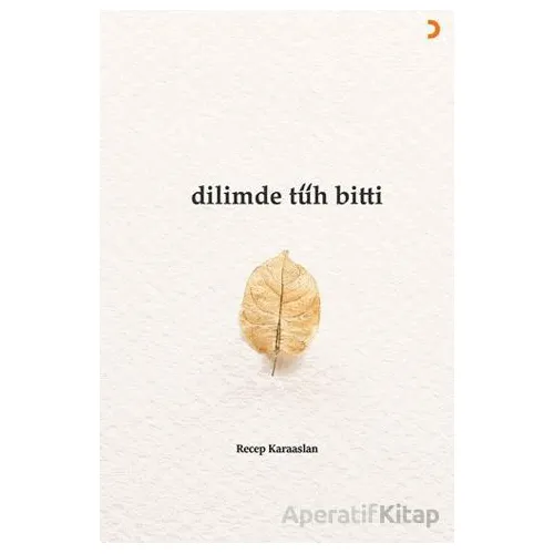 Dilimde Tüh Bitti - Recep Karaaslan - Cinius Yayınları
