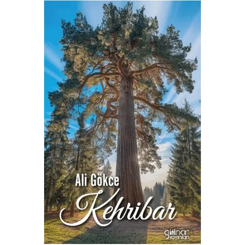 Kehribar - Ali Gökçe - Gülnar Yayınları