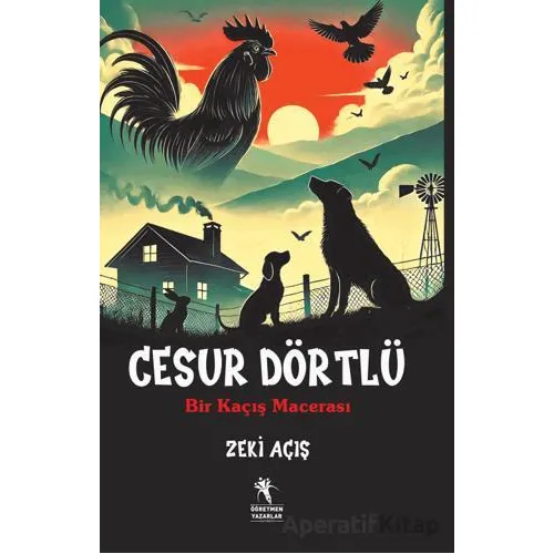 Cesur Dörtlü - Zeki Açış - Öğretmen Yazarlar