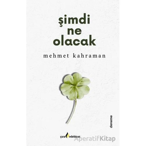 Şimdi Ne Olacak - Mehmet Kahraman - Çıra Yayınları