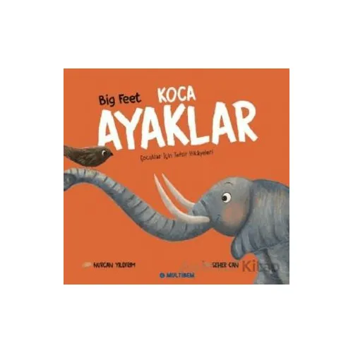 Koca Ayaklar - Nurcan Yıldırım - Multibem Yayınları