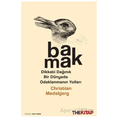 Bakmak - Christian Madsbjerg - The Kitap