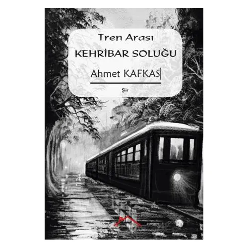 Tren Arası Kehribar Soluğu - Ahmet Kafkas - Kırmızı Çatı Yayınları