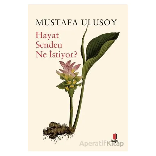 Hayat Senden Ne İstiyor? - Mustafa Ulusoy - Kapı Yayınları