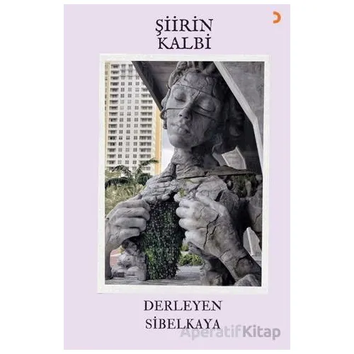 Şiirin Kalbi - Sibel Kaya - Cinius Yayınları