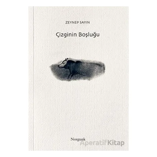 Çizginin Boşluğu - Zeynep Sayın - Norgunk Yayıncılık