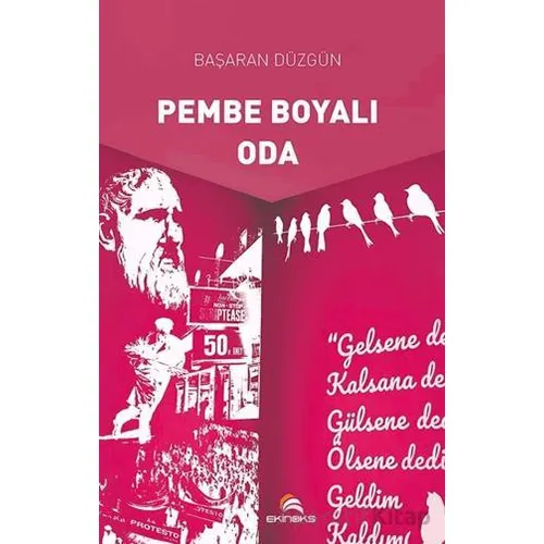 Pembe Boyalı Oda - Başaran Düzgün - Ekinoks Yayın Grubu