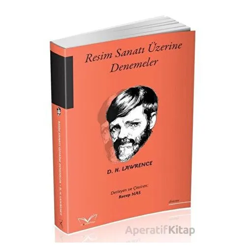 Resim Sanatı Üzerine Denemeler - David Herbert Richards Lawrence - Medakitap Yayınları