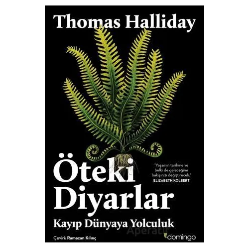 Öteki Diyarlar: Kayıp Dünyaya Yolculuk - Thomas Halliday - Domingo Yayınevi