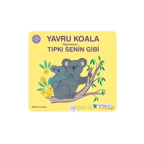 Yavru Koala Öğreniyor Tıpkı Senin Gibi - Elodie Coudray - 1001 Çiçek Kitaplar