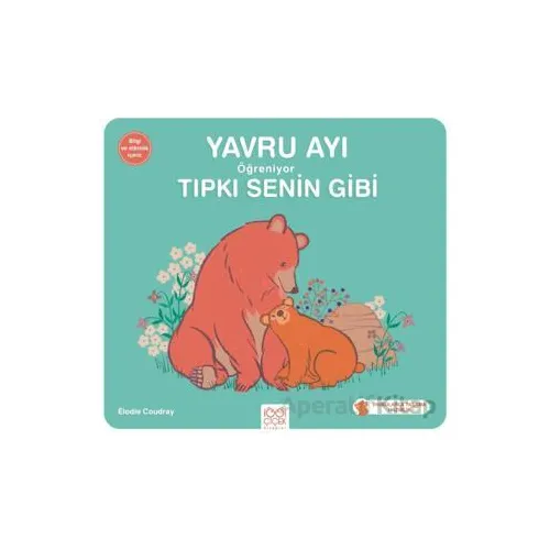 Yavru Ayı Öğreniyor Tıpkı Senin Gibi - Elodie Coudray - 1001 Çiçek Kitaplar