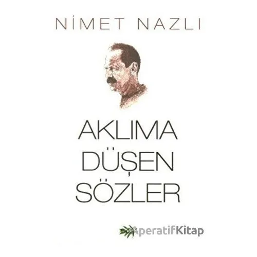 Aklıma Düşen Sözler - Nimet Nazlı - Zeytindalı Yayınları