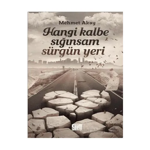 Hangi Kalbe Sığınsam Sürgün Yeri - Mehmet Akay - Şiirden Yayıncılık
