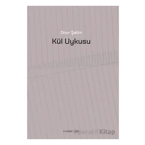 Kül Uykusu - Onur Şahin - Everest Yayınları