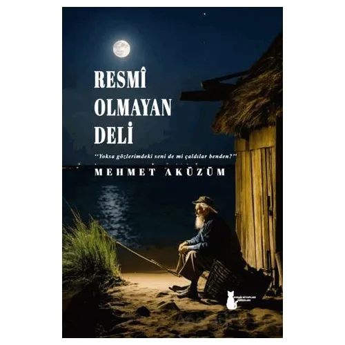 Resmi Olmayan Deli - Mehmet Aküzüm - Sokak Kitapları Yayınları
