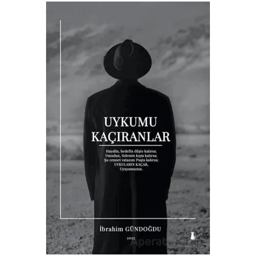 Uykumu Kaçıranlar - İbrahim Gündoğdu - Sokak Kitapları Yayınları