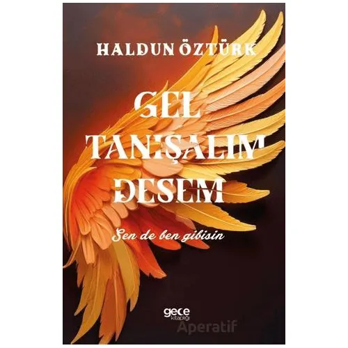 Gel Tanışalım Desem-Sen de Ben Gibisin - Haldun Öztürk - Gece Kitaplığı