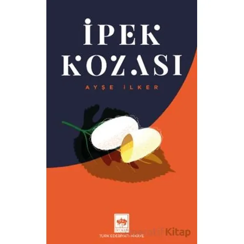 İpek Kozası - Ayşe İlker - Ötüken Neşriyat