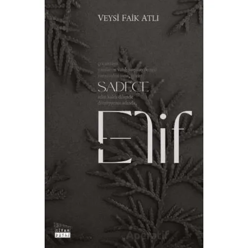 Sadece Elif - Veysi Faik Atlı - Siyah Beyaz Yayınları