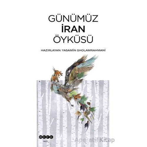 Günümüz İran Öyküsü - Kolektif - Hece Yayınları
