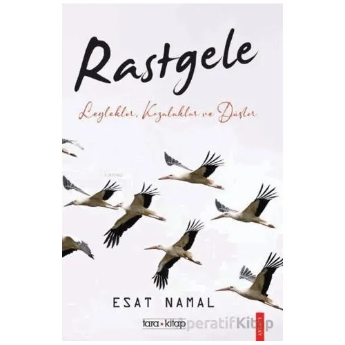 Rastgele; Leylekler, Kozalaklar ve Düşler - Esat Namal - Tara Kitap