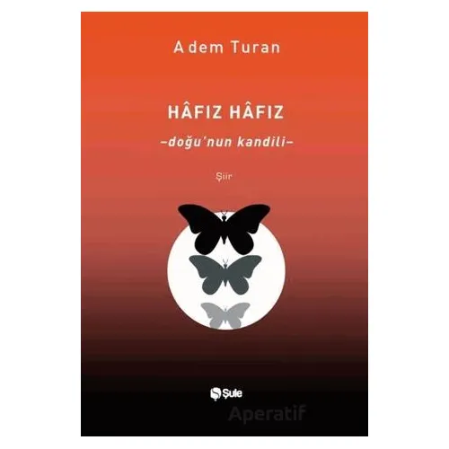 Hafız Hafız - Adem Turan - Şule Yayınları