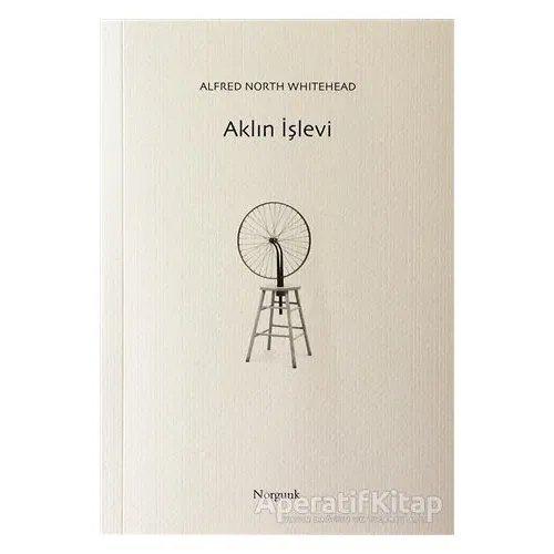 Aklın İşlevi - Alfred North Whitehead - Norgunk Yayıncılık