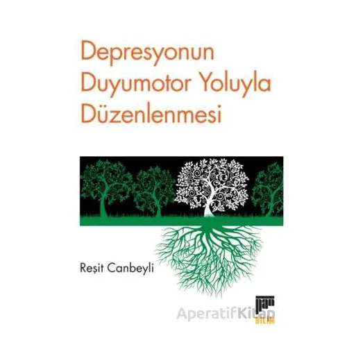 Depresyonun Duyumotor Yoluyla Düzenlenmesi - Reşit Canbeyli - Pan Yayıncılık