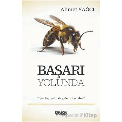 Başarı Yolunda - Ahmet Yağcı - Dark İstanbul