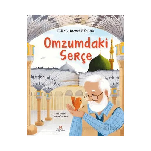 Omzumdaki Serçe - Fatma Hazan Türkkol - Düş Değirmeni
