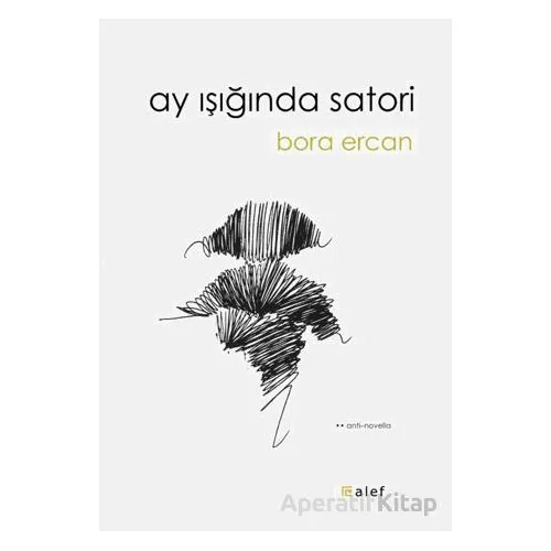 Ay Işığında Satori - Bora Ercan - Alef Yayınevi