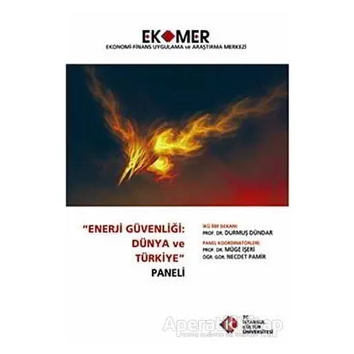 Enerji Güvenliği : Dünya ve Türkiye Paneli 2010