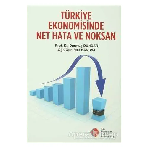 Türkiye Ekonomisinde Net Hata ve Noksanlar