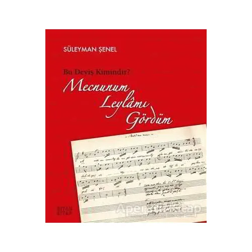 Mecnunum Leylamı Gördüm - Süleyman Şenel - Siyah Kitap