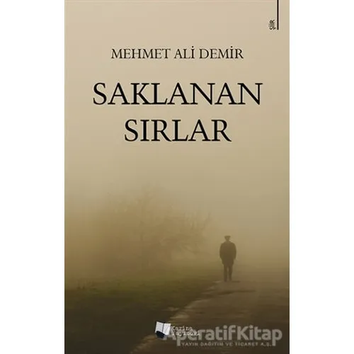 Saklanan Sırlar - Mehmet Ali Demir - Karina Yayınevi